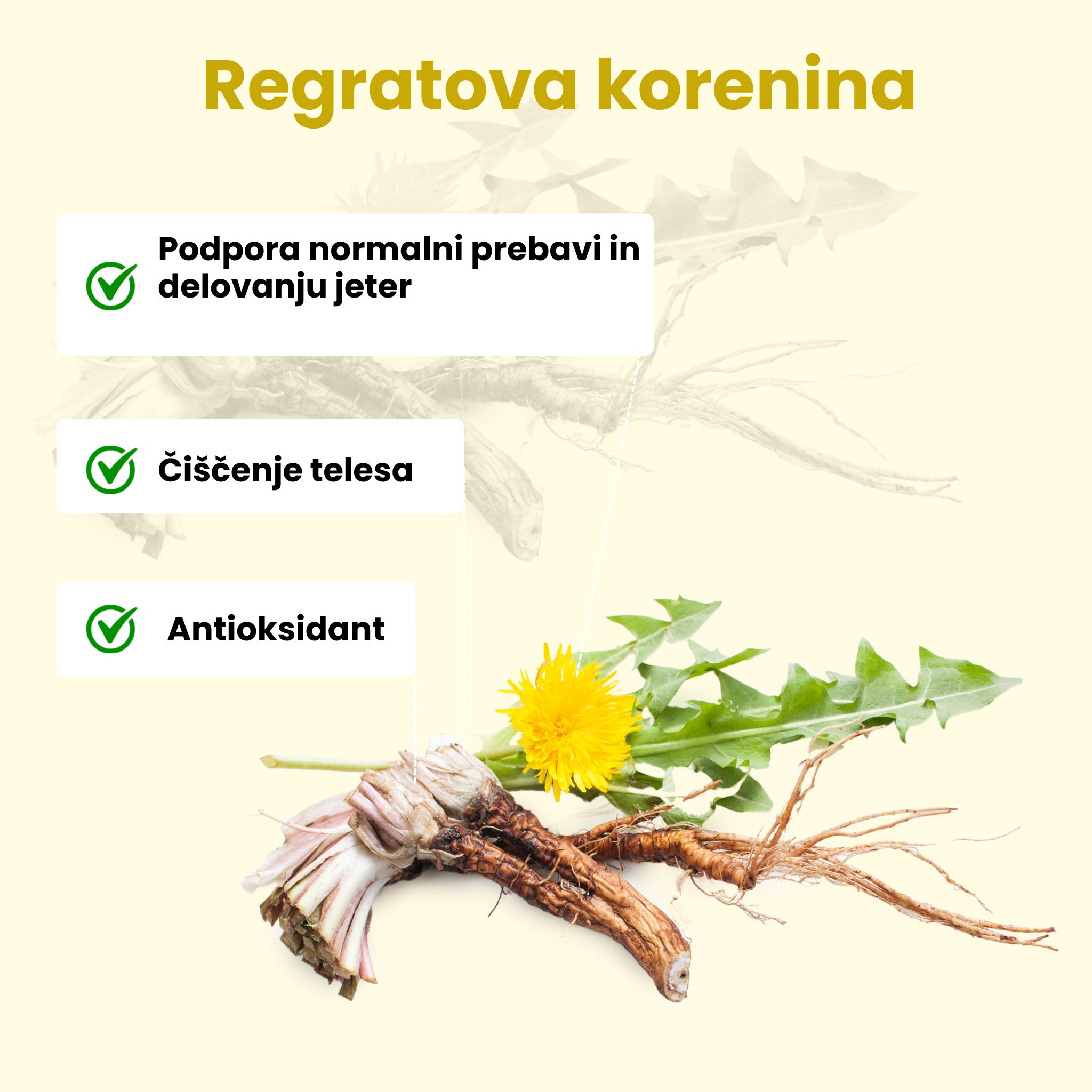 (Slovinština) (Italština) (2)